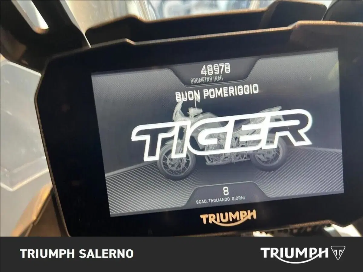 Triumph Tiger 900 Rally Pro (2020 - 23) (10)