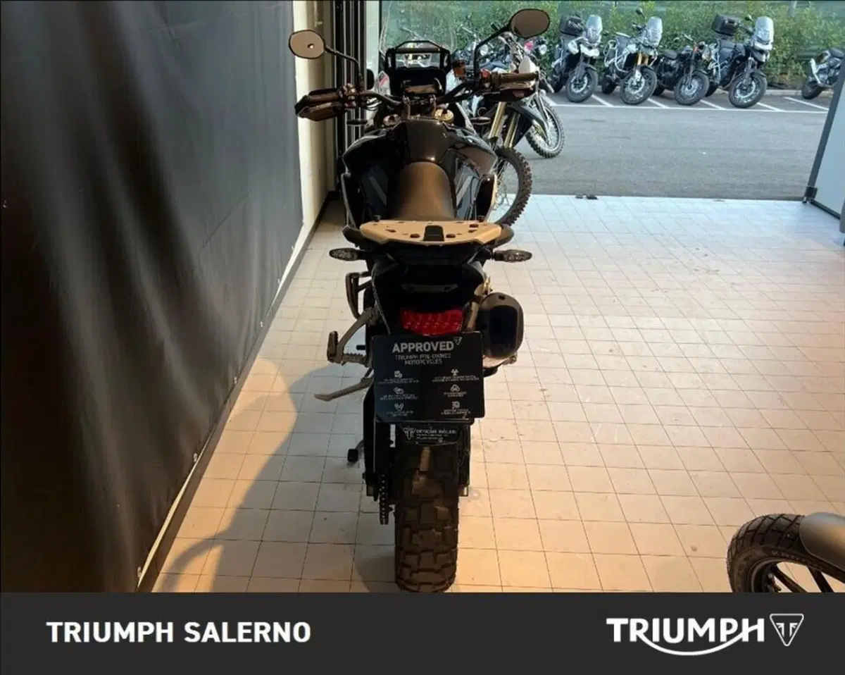 Triumph Tiger 900 Rally Pro (2020 - 23) (6)