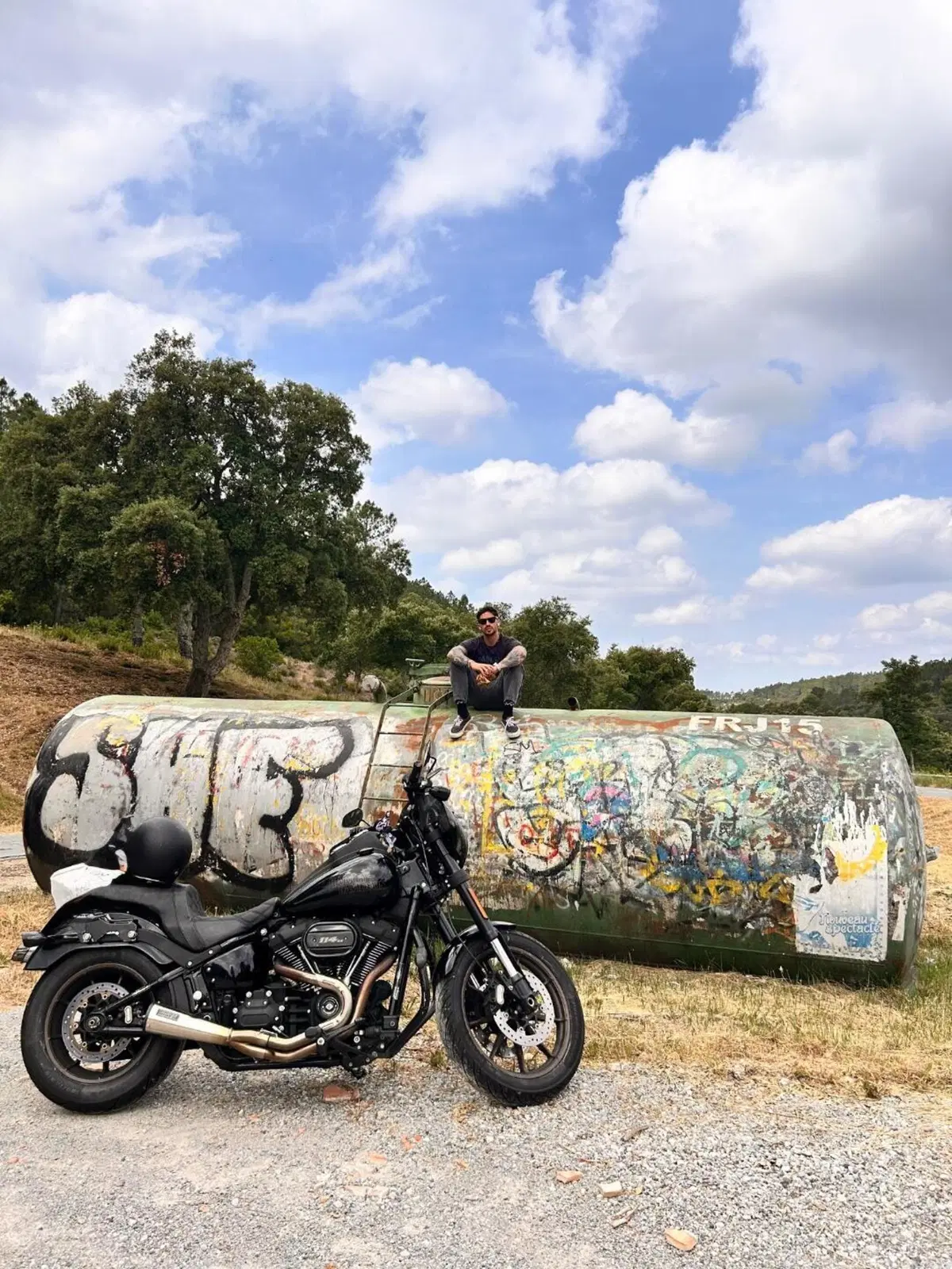 Harley-Davidson 1800 Low Rider S (2016 - 17) - FXDLS (2)