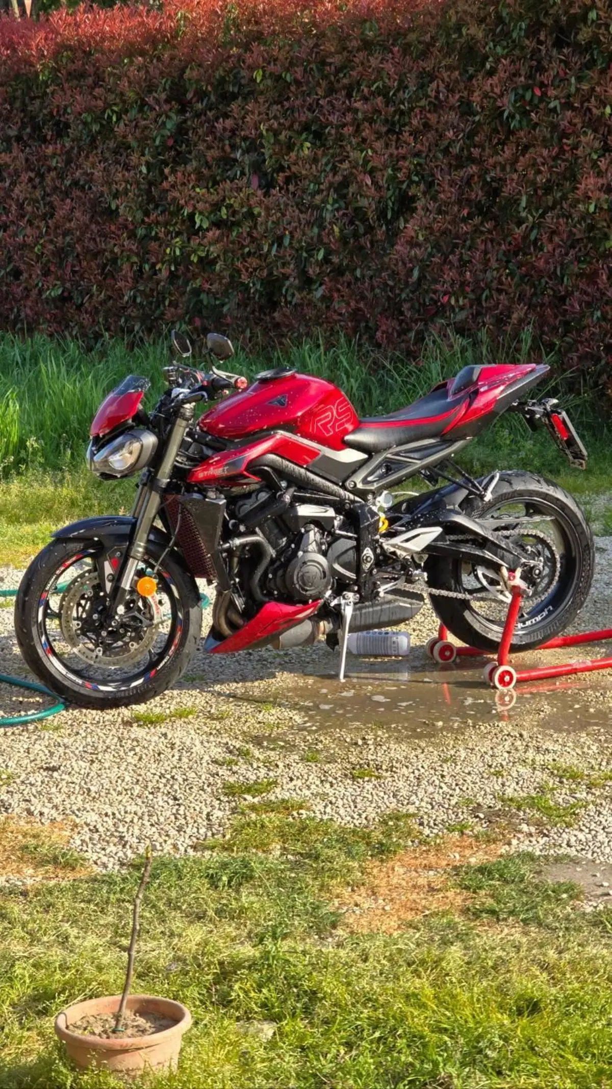 Triumph Street Triple 765 RS (2023 - 26) (8)