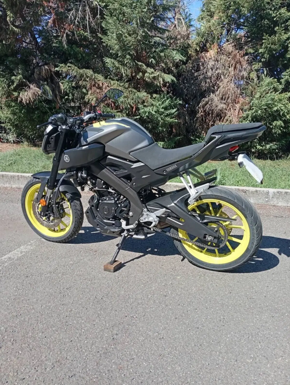 Yamaha MT-125 ABS (2017 - 19) (2)