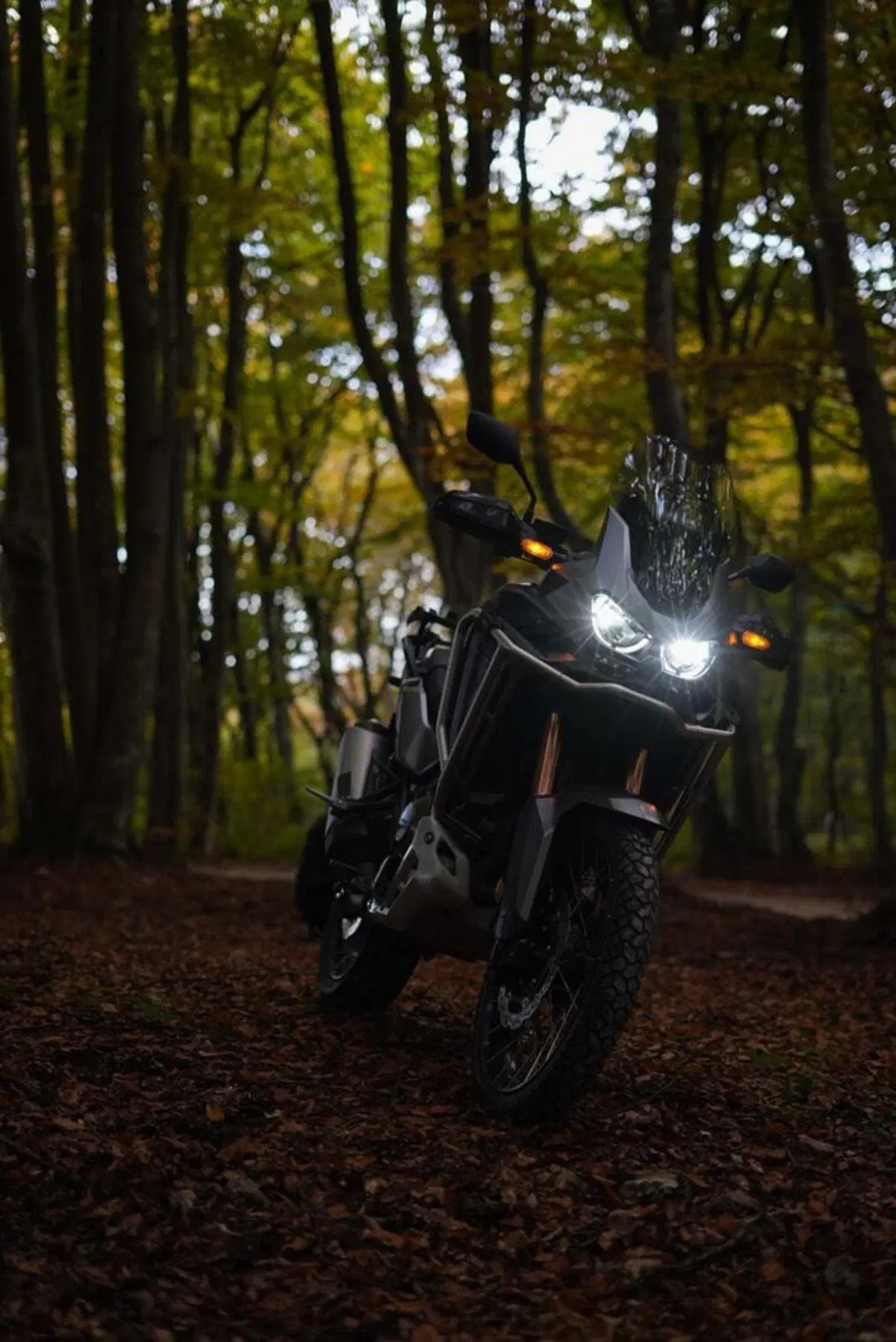 Honda Africa Twin CRF 1100L Adventure Sports (2022 - 23) (14)