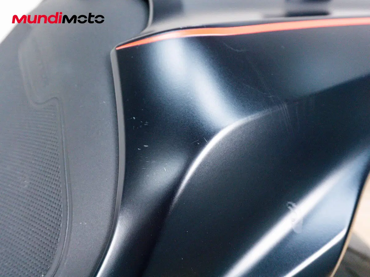 Ducati Monster 821 (2018 - 20) (19)