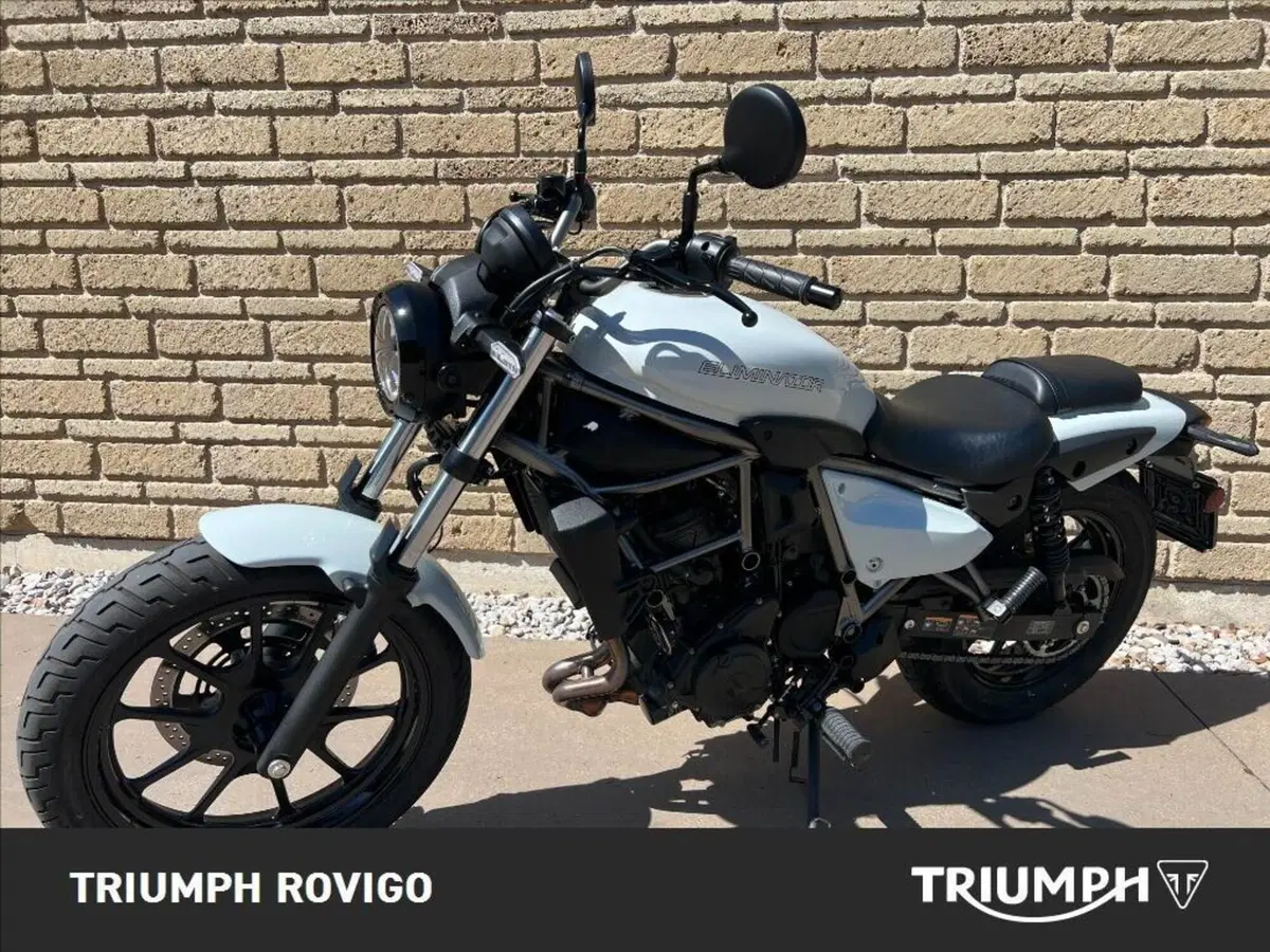 Kawasaki Eliminator 500 (2024 - 26) (7)