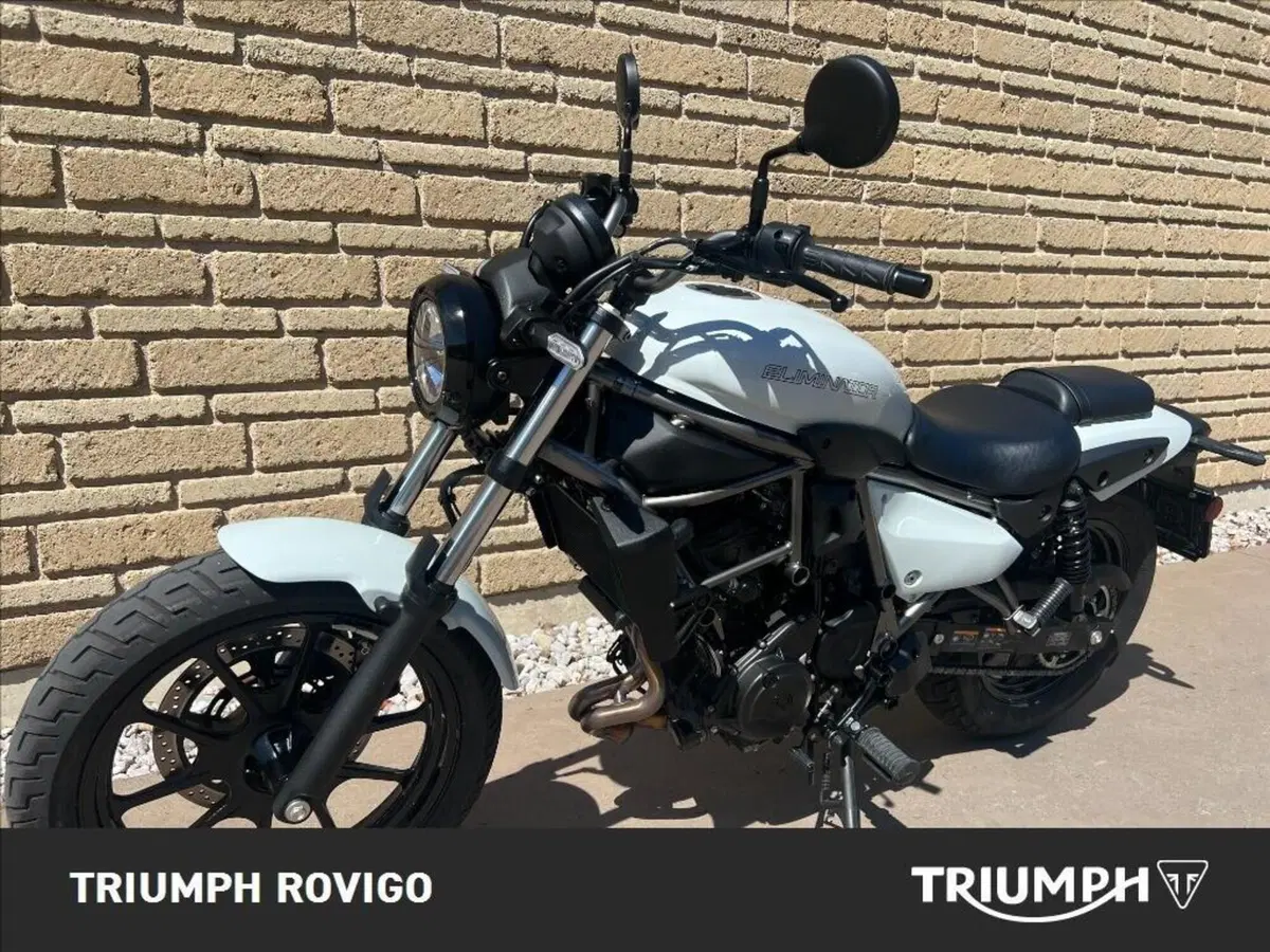 Kawasaki Eliminator 500 (2024 - 26) (5)
