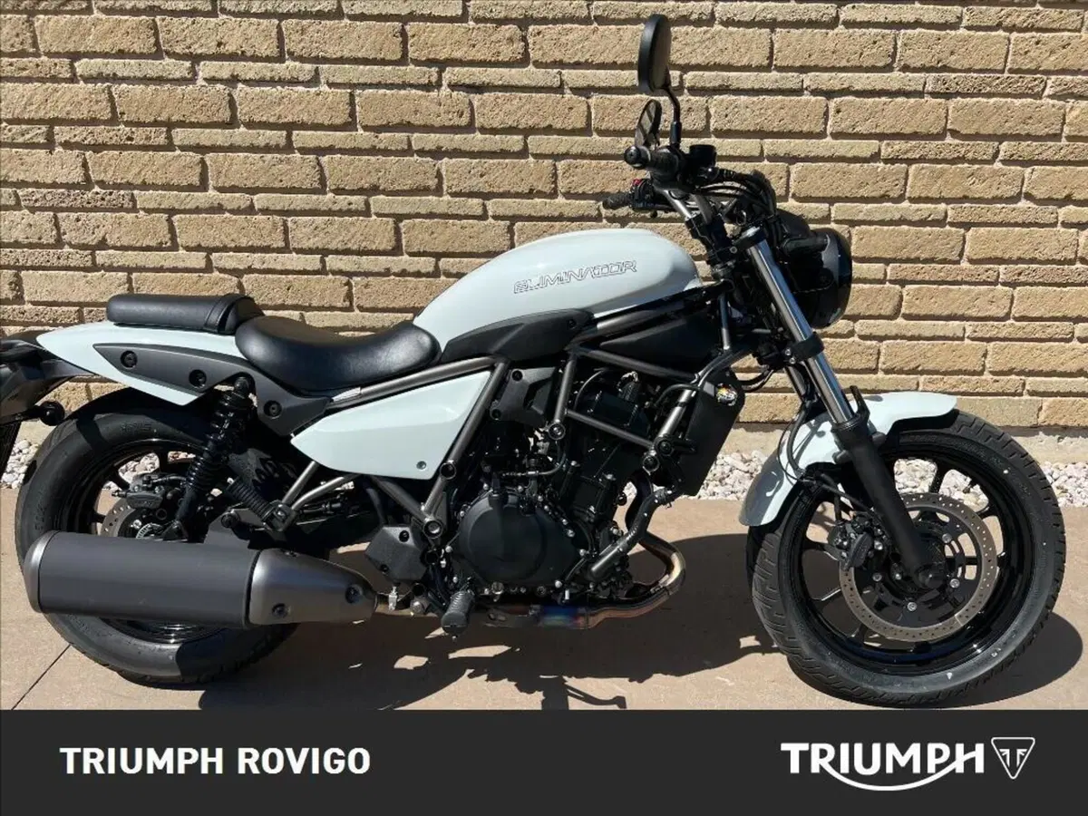 Kawasaki Eliminator 500 (2024 - 26) (2)