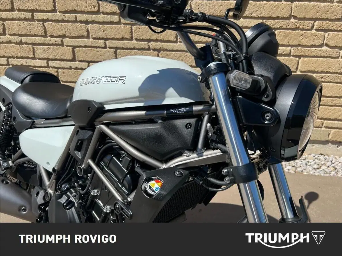 Kawasaki Eliminator 500 (2024 - 26) (4)