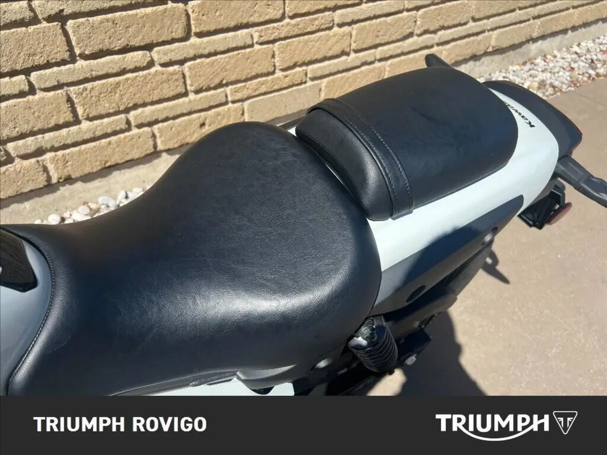 Kawasaki Eliminator 500 (2024 - 26) (6)
