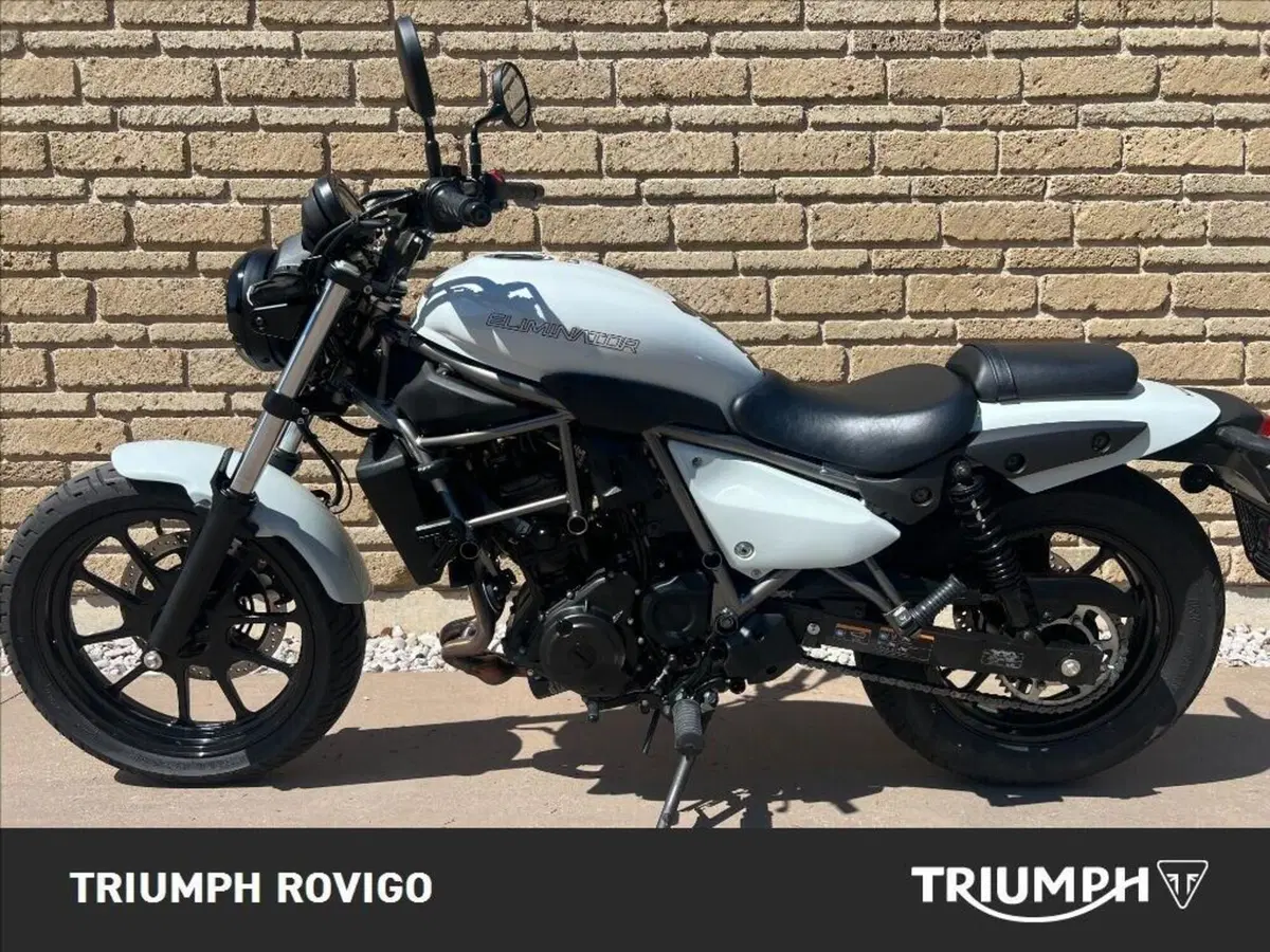 Kawasaki Eliminator 500 (2024 - 26) (10)
