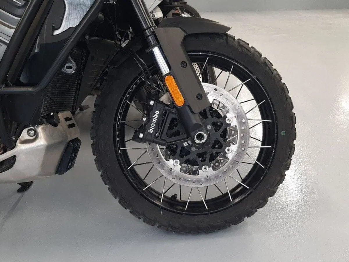 Harley-Davidson Pan America 1250 (2020 - 25) (8)