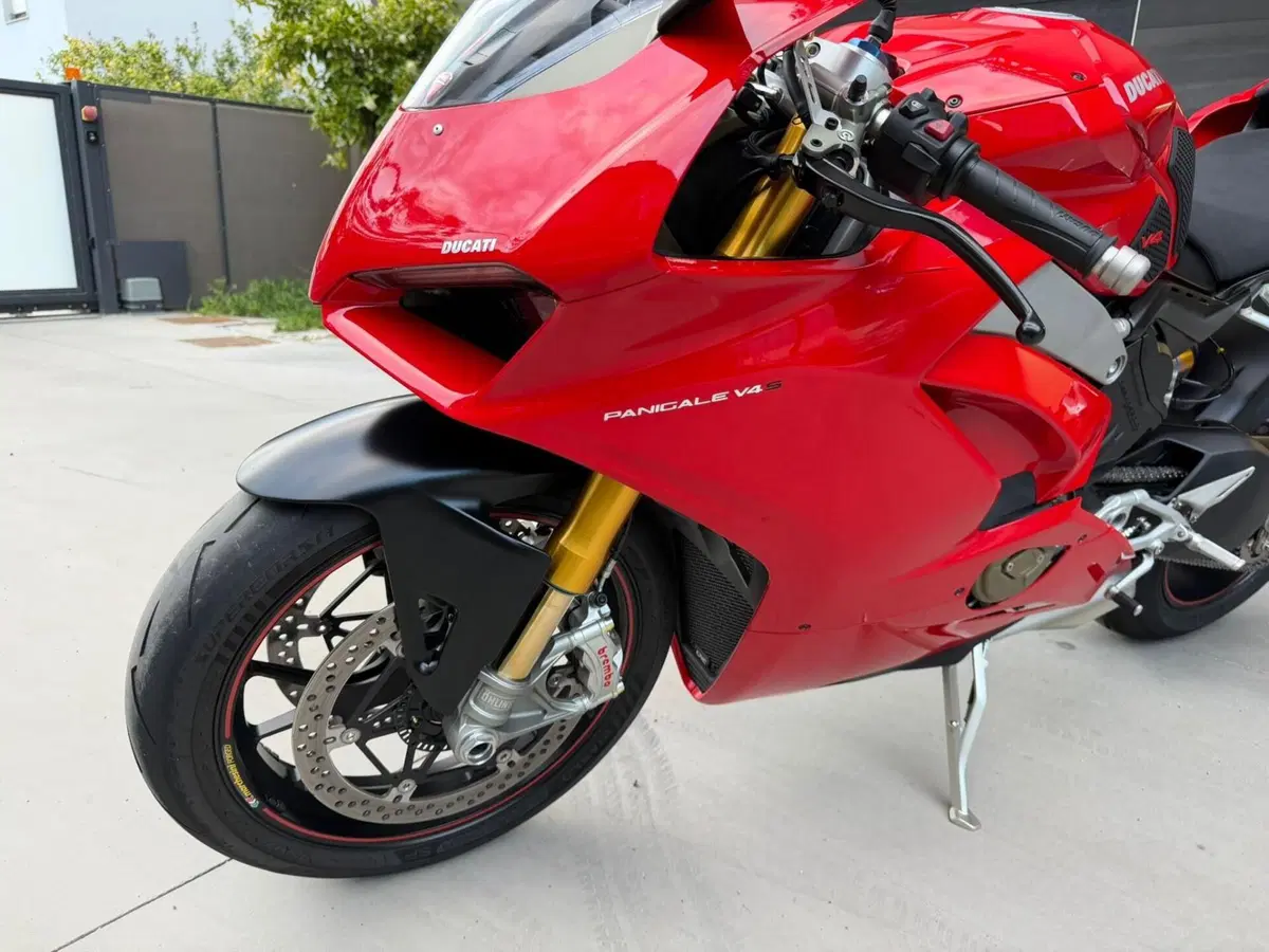 Ducati Panigale V4 S 1100 (2018 - 19) (4)