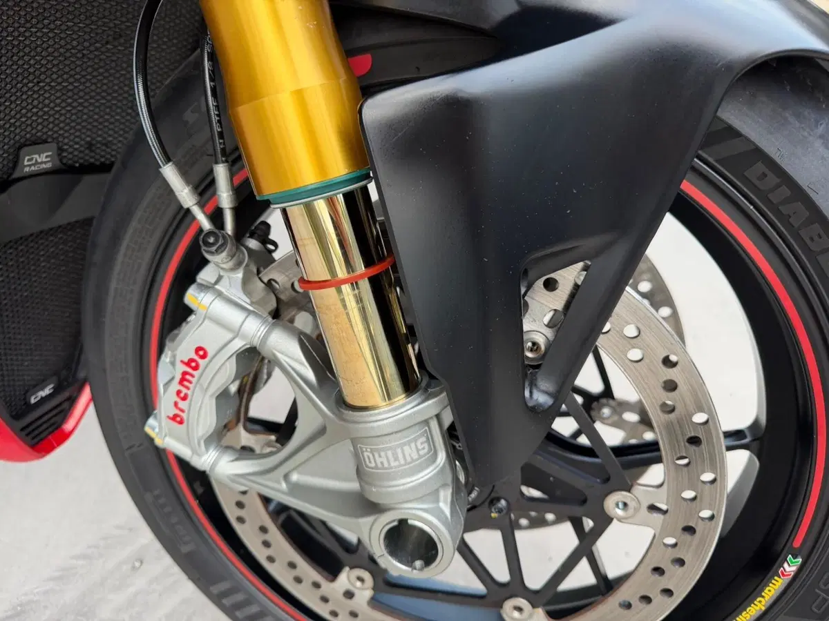 Ducati Panigale V4 S 1100 (2018 - 19) (5)