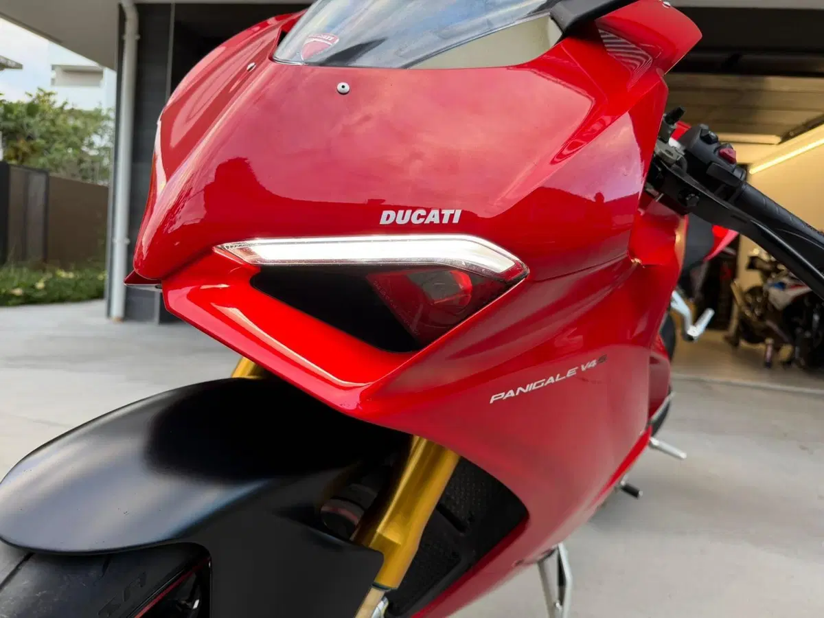 Ducati Panigale V4 S 1100 (2018 - 19) (6)