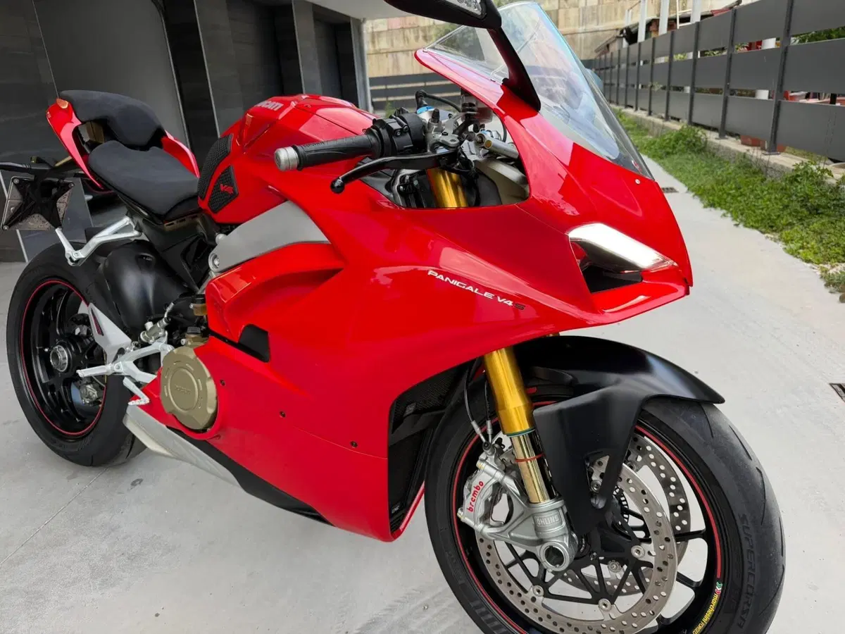 Ducati Panigale V4 S 1100 (2018 - 19) (7)