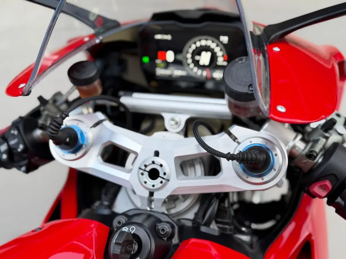 Ducati Panigale V4 S 1100 (2018 - 19) (9)