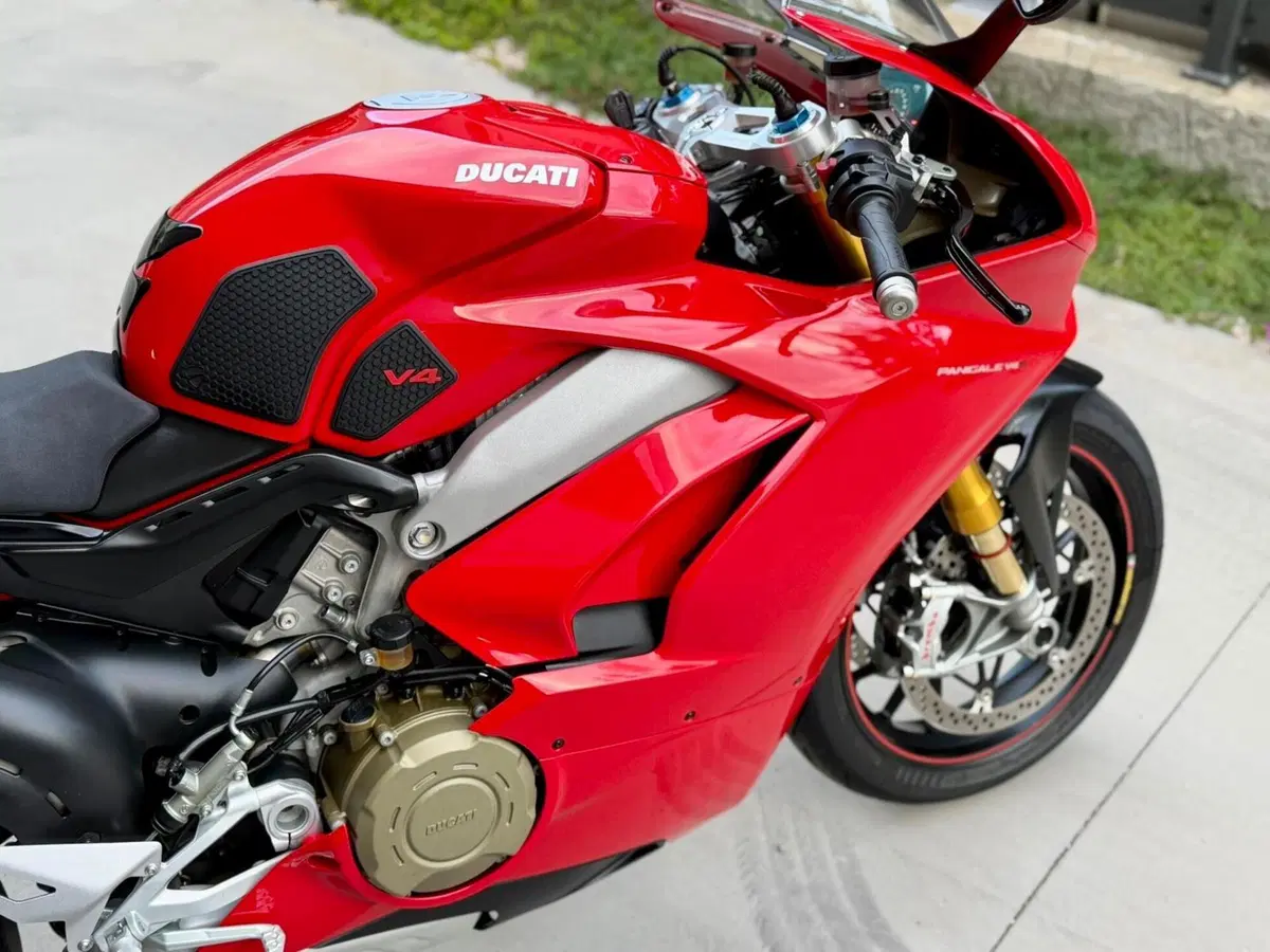 Ducati Panigale V4 S 1100 (2018 - 19) (10)