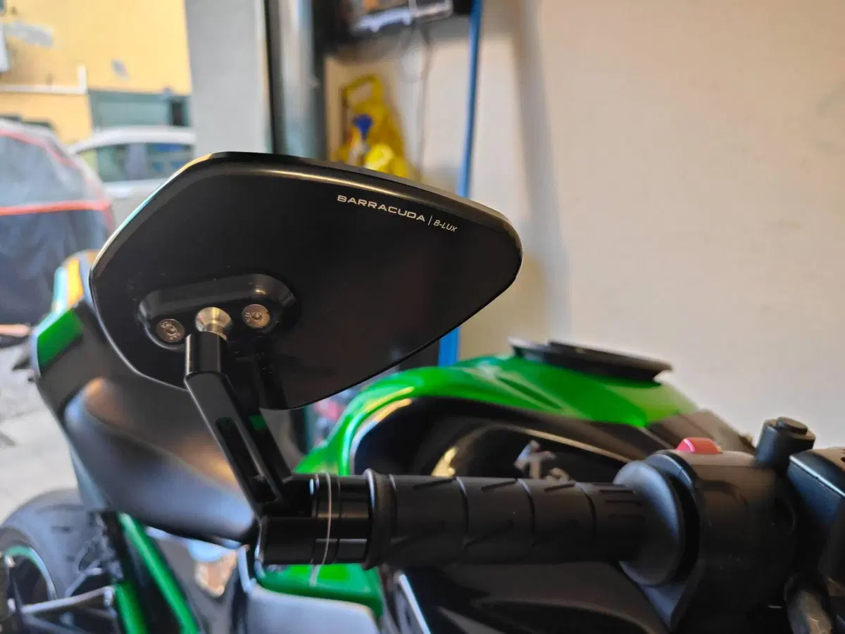 Kawasaki Z 900 (2021 - 24) (7)