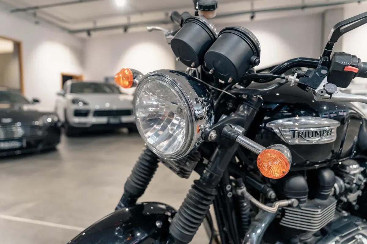 Triumph Bonneville T100 (2008 - 16) (3)