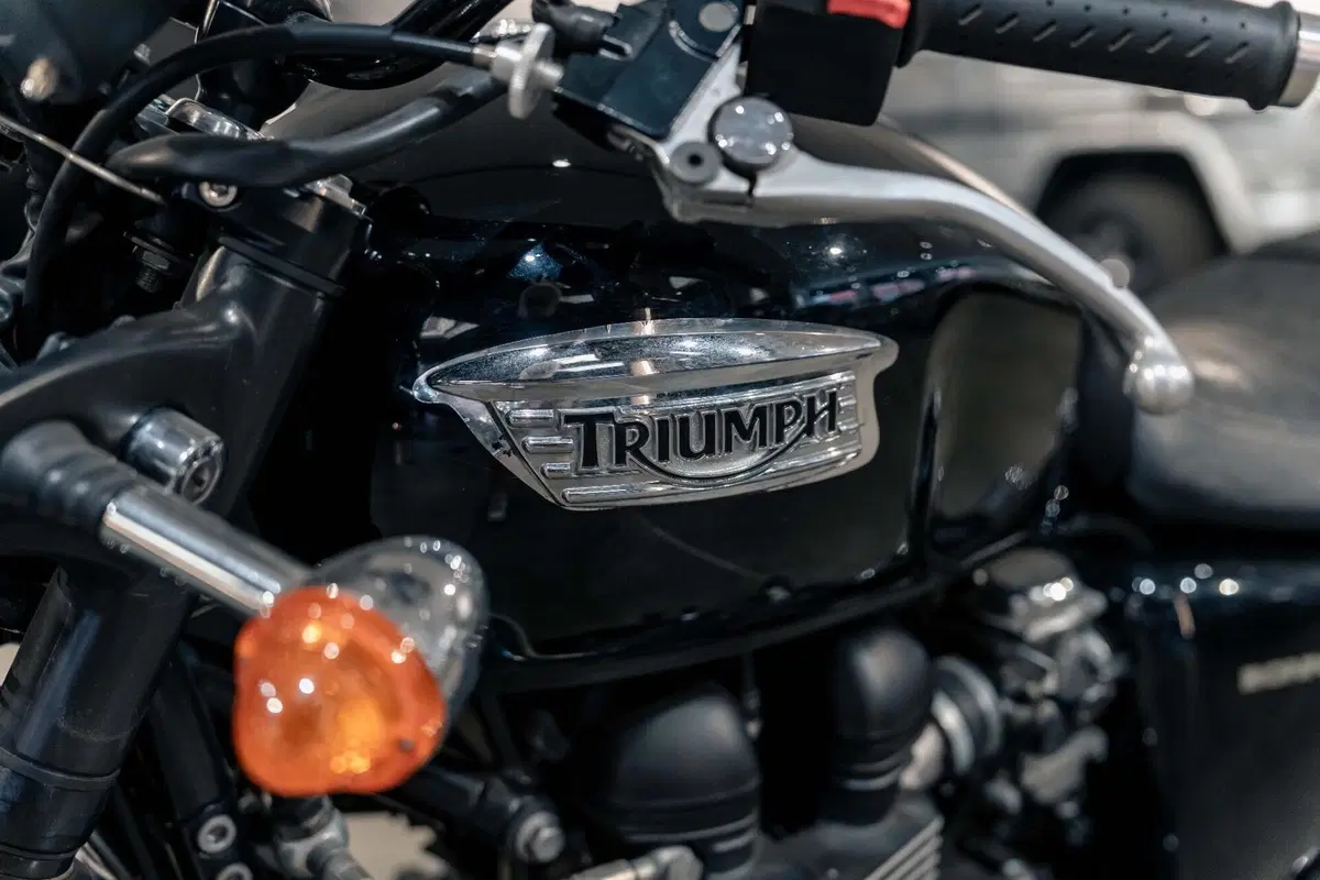 Triumph Bonneville T100 (2008 - 16) (14)