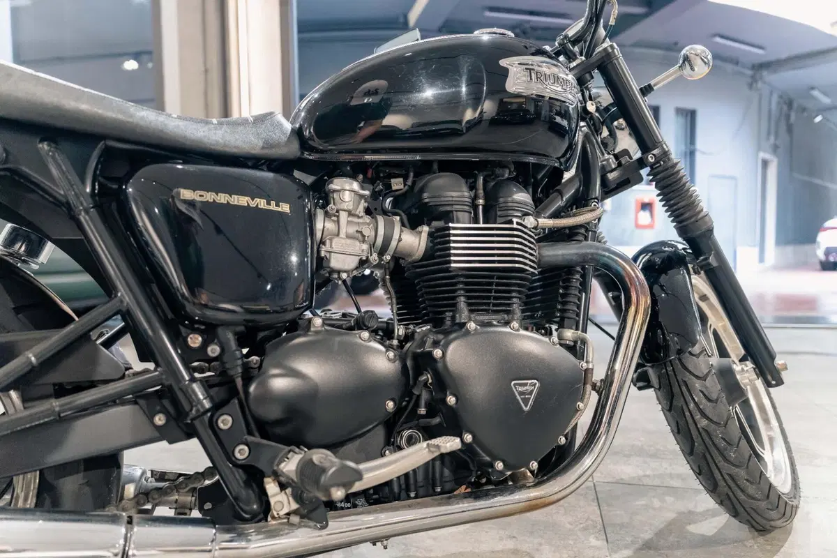 Triumph Bonneville T100 (2008 - 16) (7)