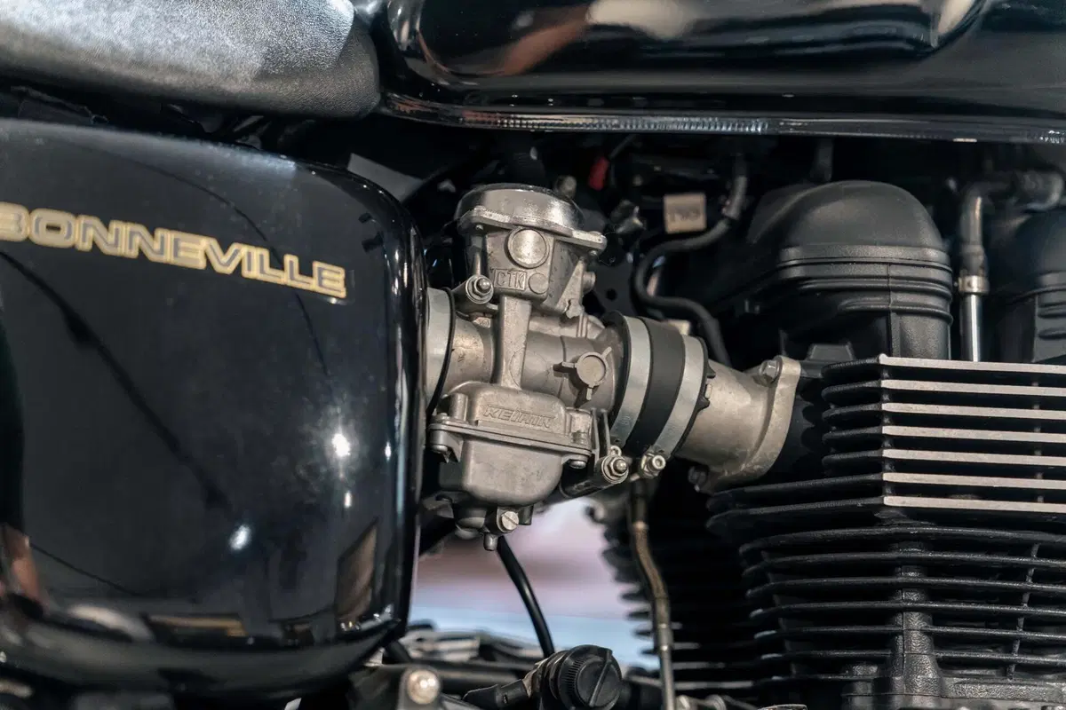 Triumph Bonneville T100 (2008 - 16) (19)