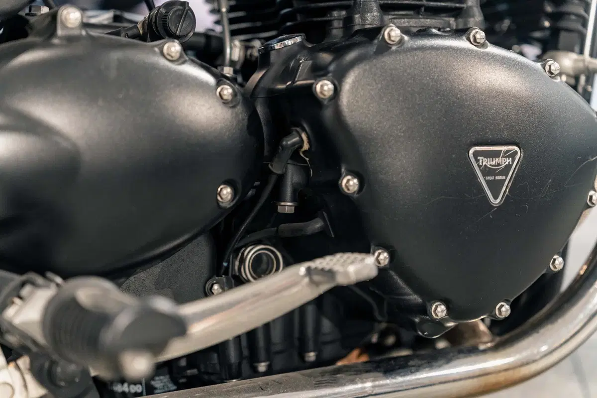 Triumph Bonneville T100 (2008 - 16) (20)