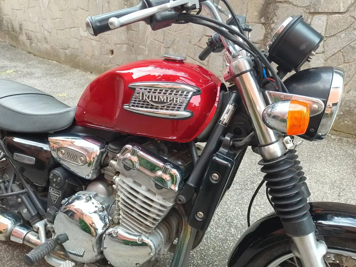 Triumph Thunderbird 900 (1995 - 01) (5)