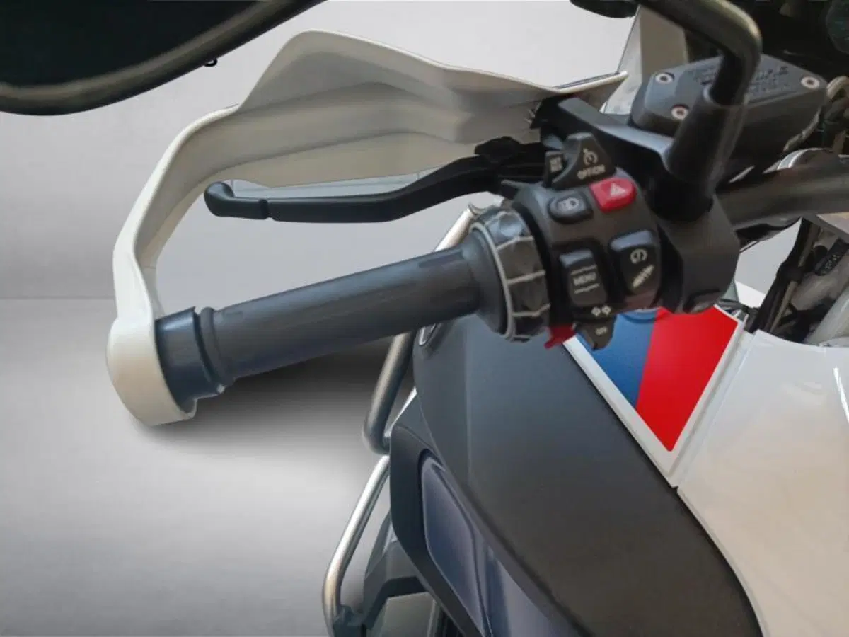 Bmw R 1250 GS Adventure (2021 - 24) (11)