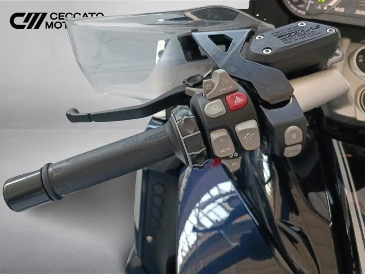 Bmw K 1600 GT (2017 - 20) (11)