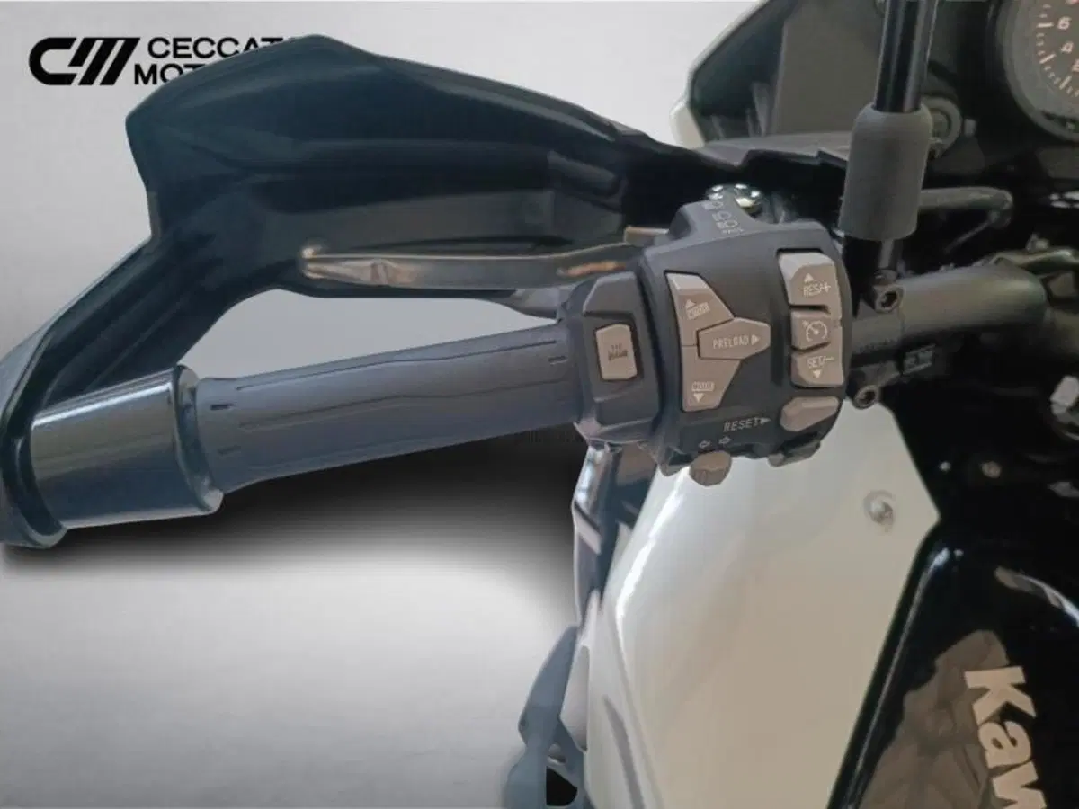 Kawasaki Versys 1100 SE Grand Tourer (2025 - 26) (12)