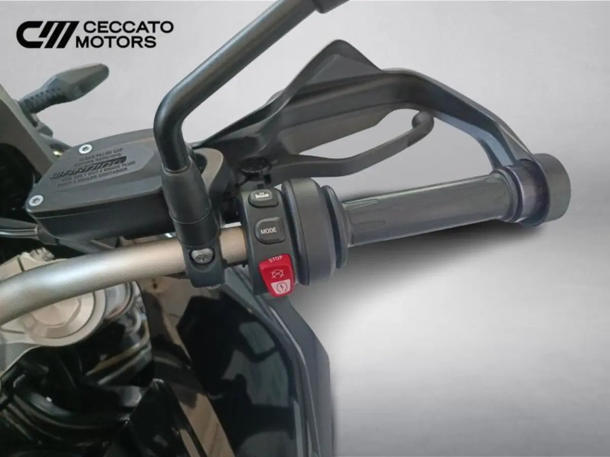 Bmw F 850 GS (2021 - 24) (10)