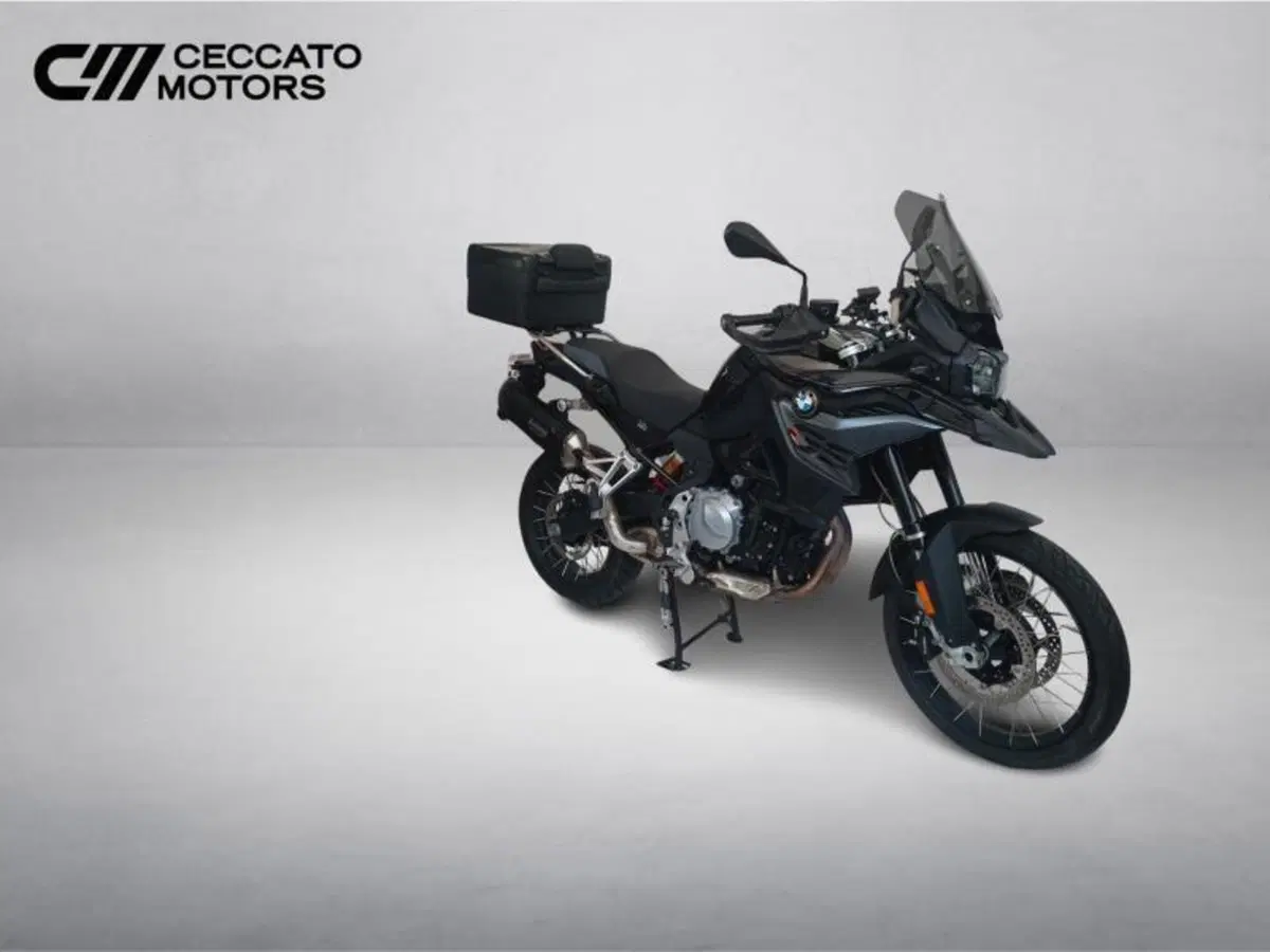Bmw F 850 GS (2021 - 24) (2)