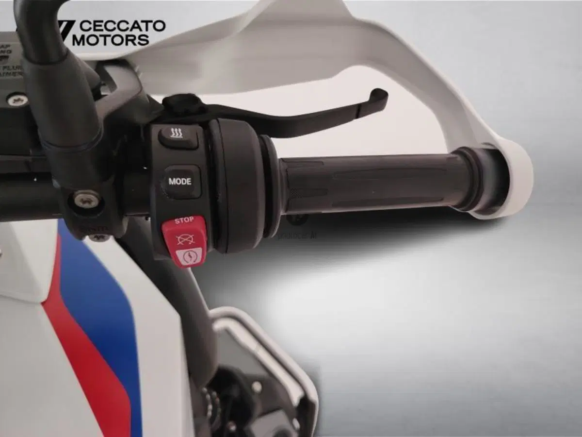 Bmw R 1250 GS (2021 - 24) (12)