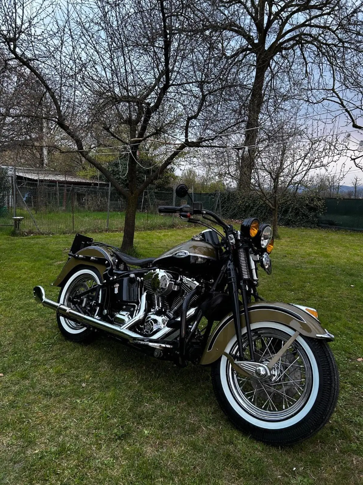 Harley-Davidson 1584 Springer Classic (2006 - 07) - FLSTSC