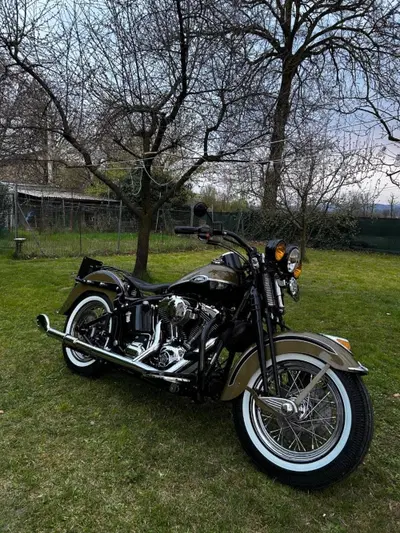 Harley-Davidson 1584 Springer Classic (2006 - 07) - FLSTSC usata