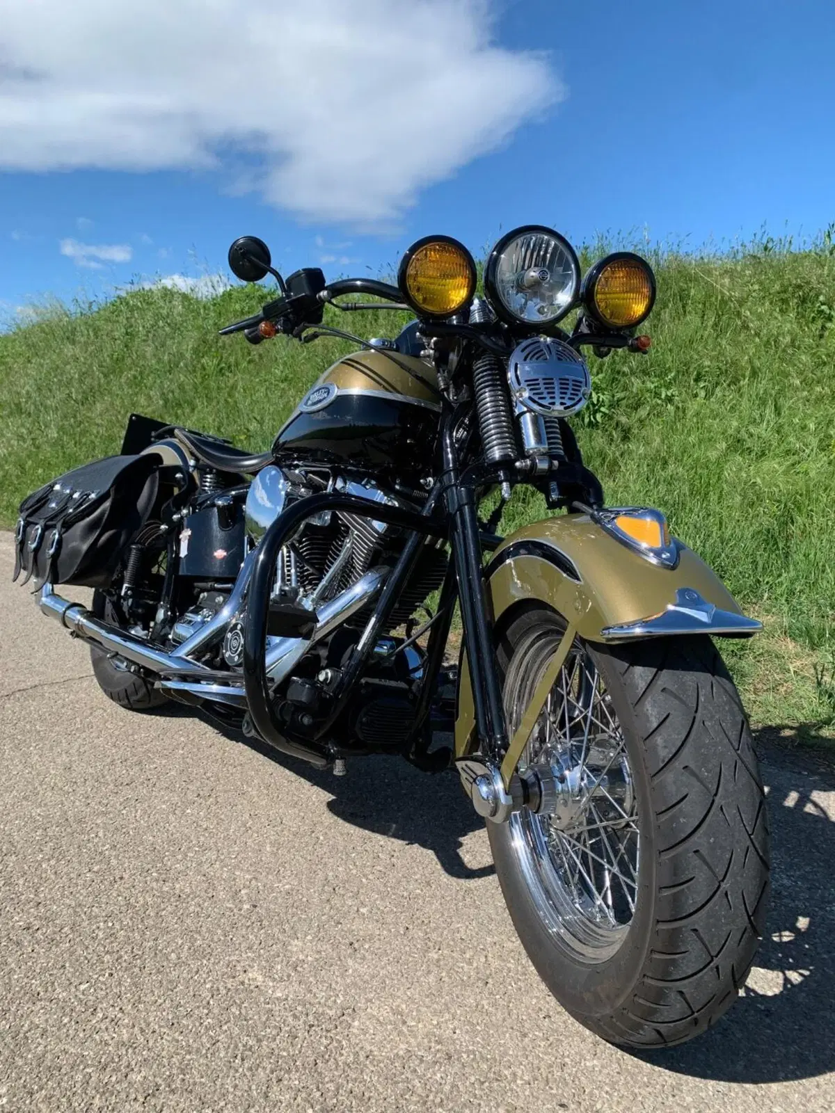 Harley-Davidson 1584 Springer Classic (2006 - 07) - FLSTSC (3)