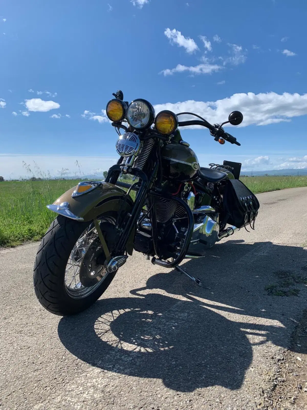 Harley-Davidson 1584 Springer Classic (2006 - 07) - FLSTSC (4)