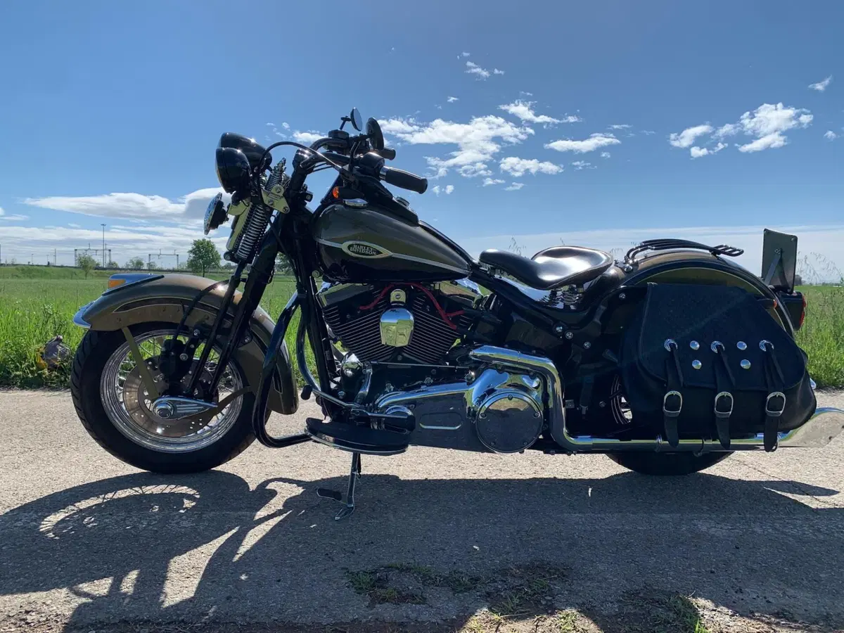 Harley-Davidson 1584 Springer Classic (2006 - 07) - FLSTSC (6)