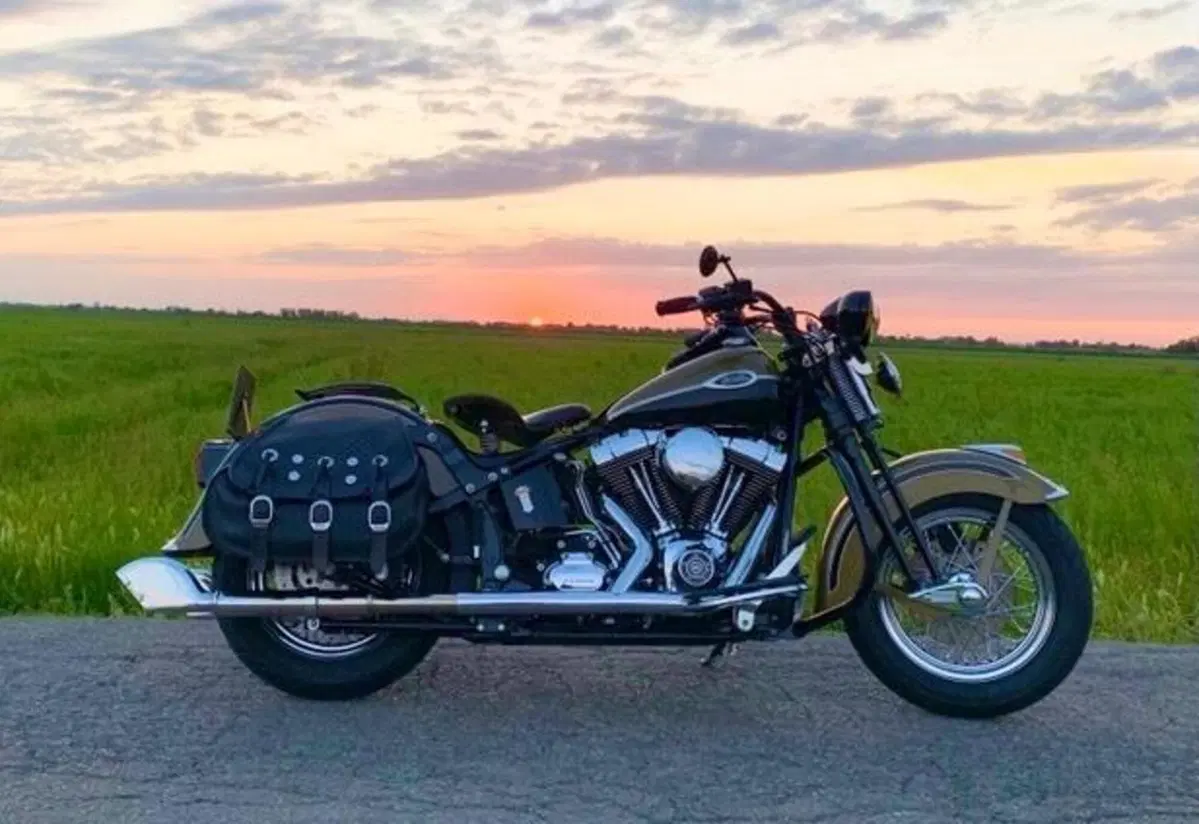 Harley-Davidson 1584 Springer Classic (2006 - 07) - FLSTSC (7)