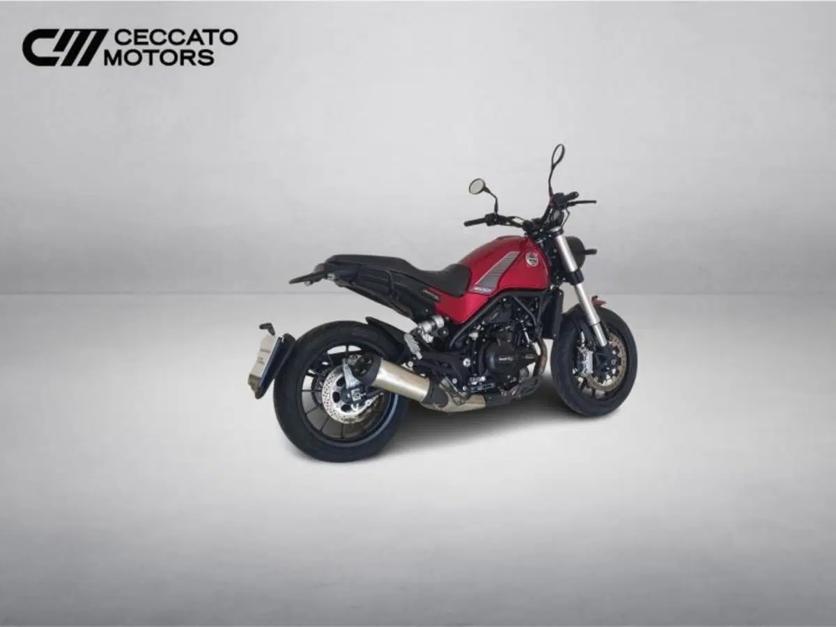 Benelli Leoncino 500 (2021 - 25) (4)