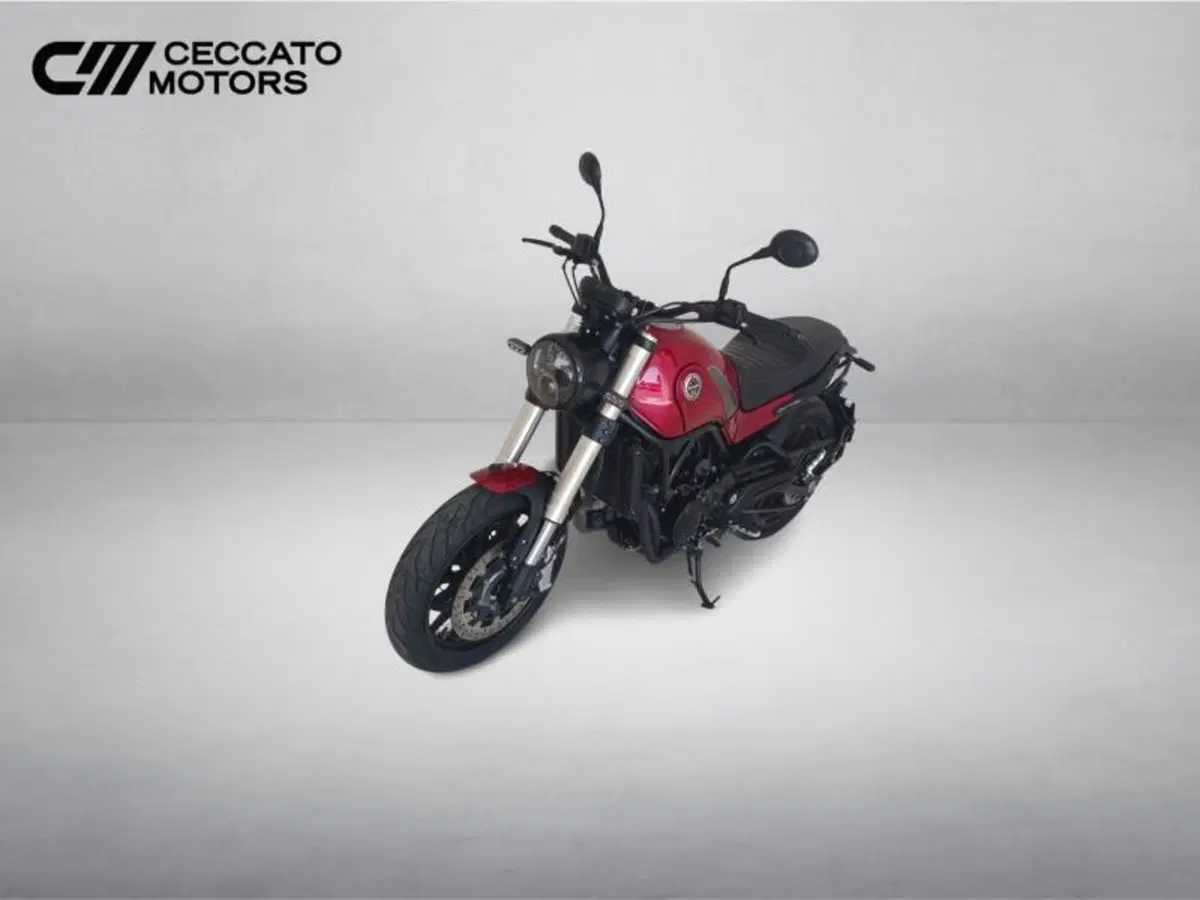 Benelli Leoncino 500 (2021 - 25) (10)