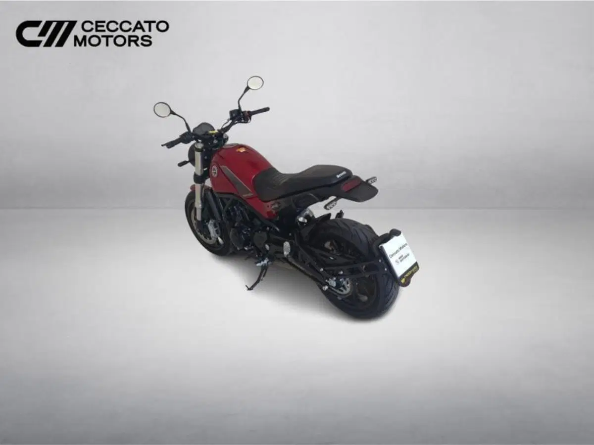 Benelli Leoncino 500 (2021 - 25) (7)