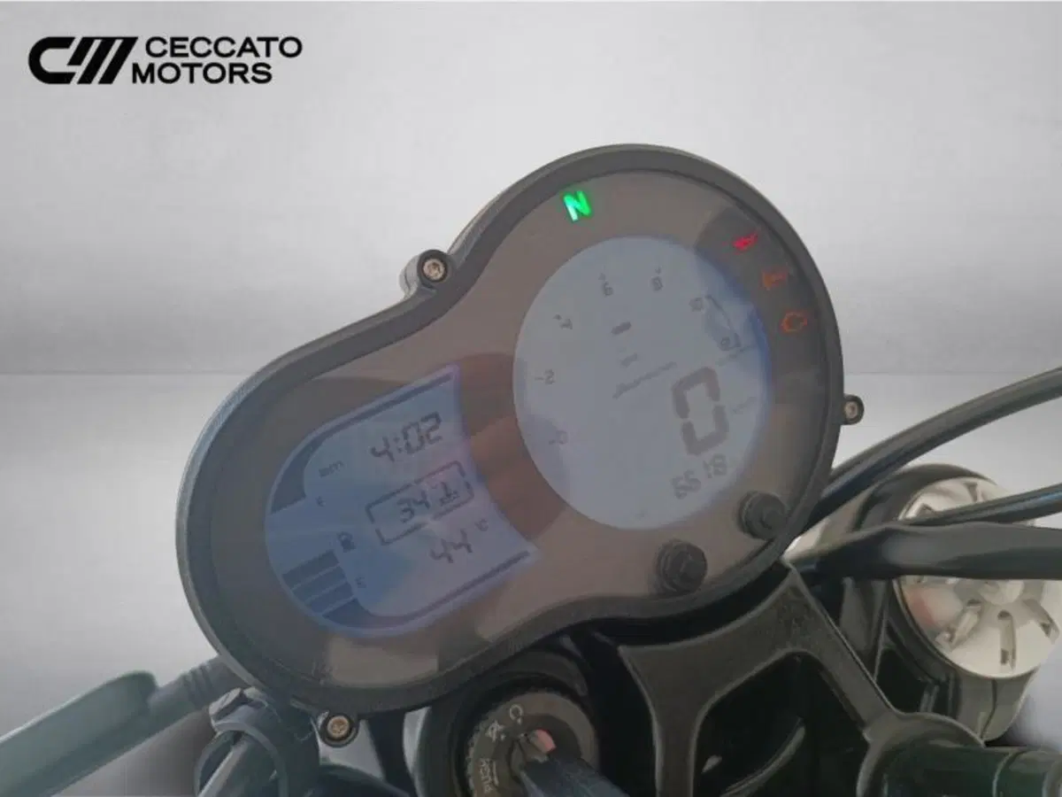Benelli Leoncino 500 (2021 - 25) (13)