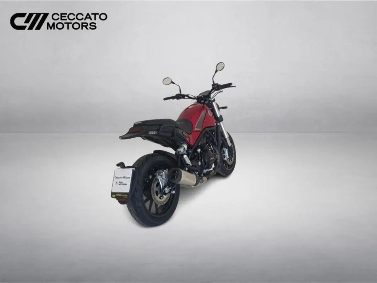 Benelli Leoncino 500 (2021 - 25) (5)