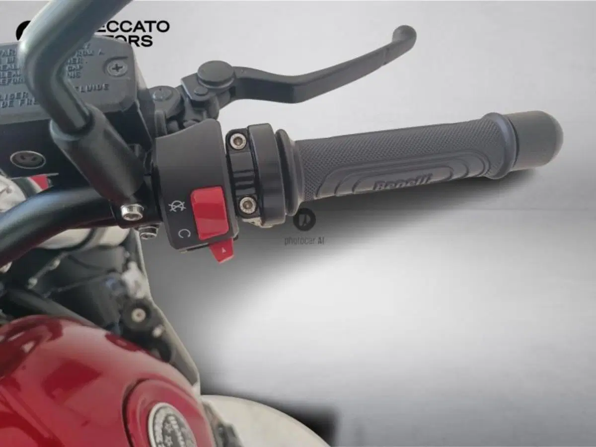 Benelli Leoncino 500 (2021 - 25) (11)