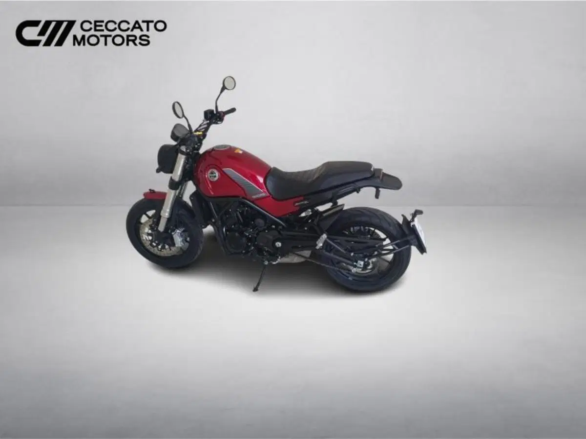 Benelli Leoncino 500 (2021 - 25) (8)