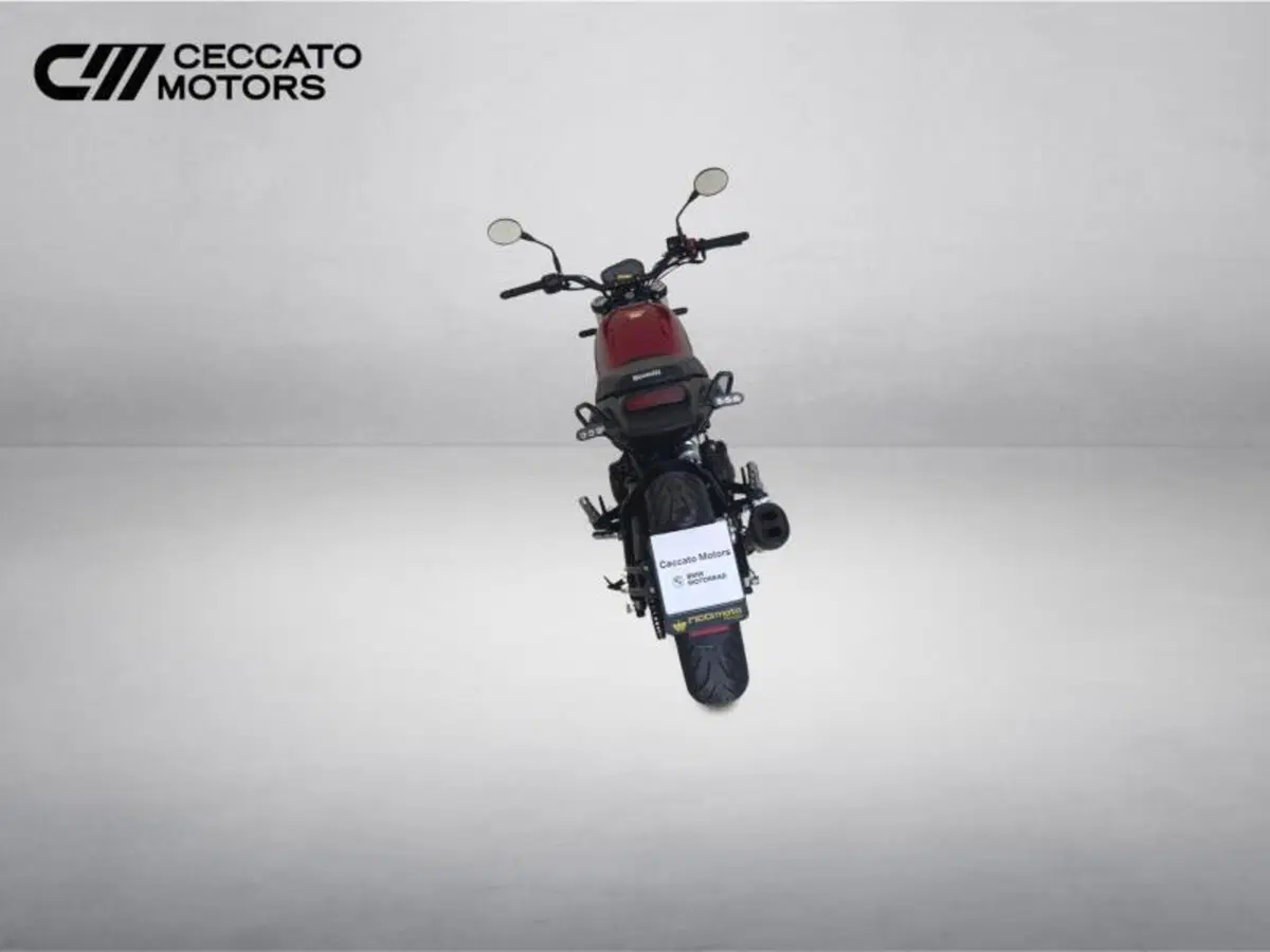 Benelli Leoncino 500 (2021 - 25) (6)
