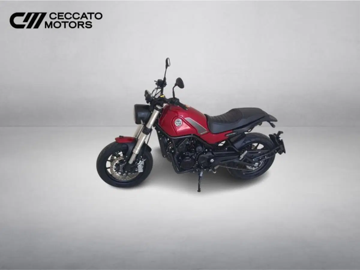 Benelli Leoncino 500 (2021 - 25) (9)