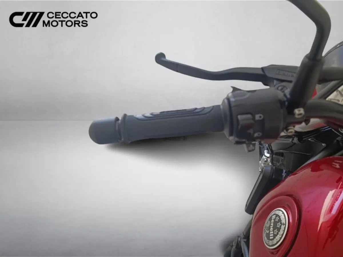Benelli Leoncino 500 (2021 - 25) (12)