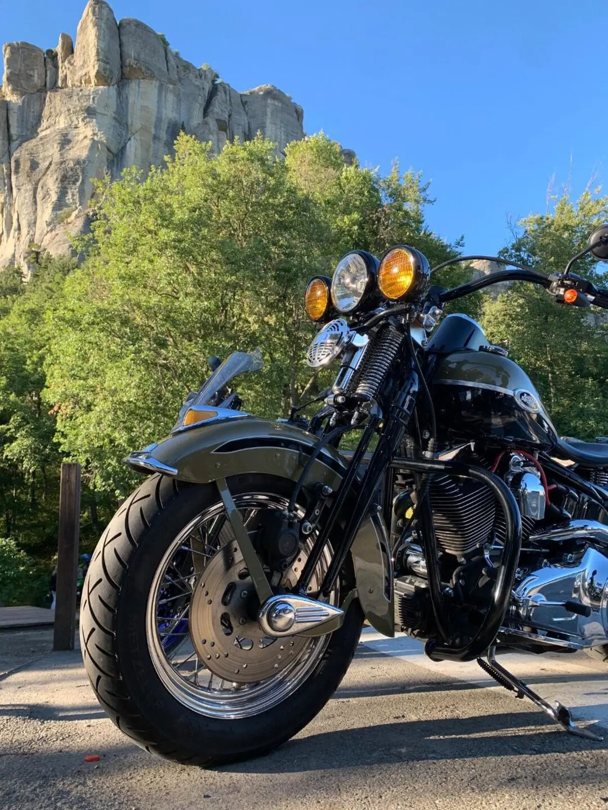 Harley-Davidson 1584 Springer Classic (2006 - 07) - FLSTSC (8)